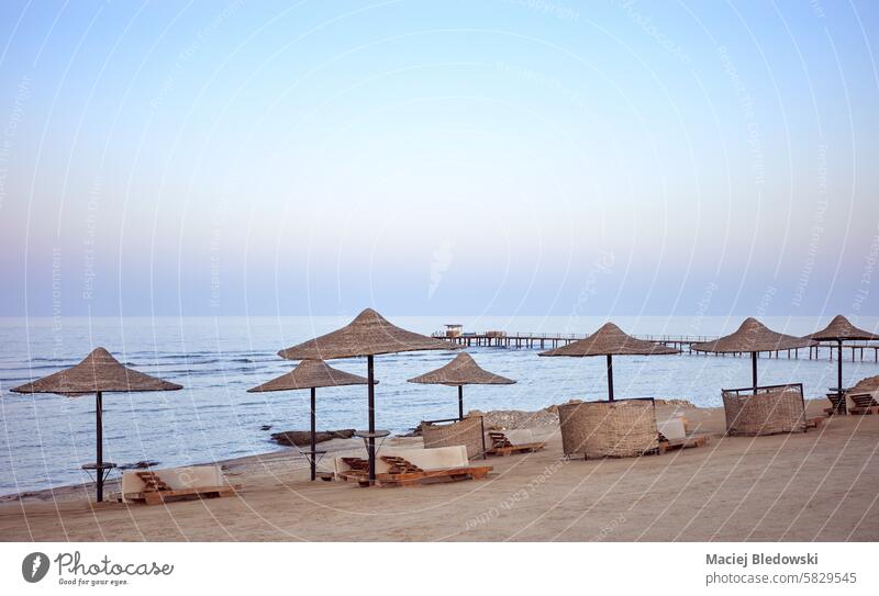 A tranquil beach with sun loungers and umbrellas at sunset, Marsa Alam region, Egypt. peaceful relax quiet vacation resort sea nature unwind travel summer sand