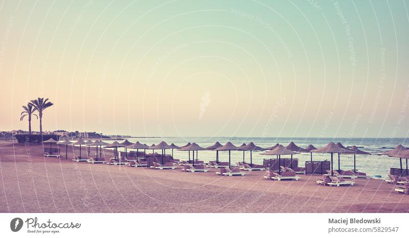 A tranquil beach with sun loungers and umbrellas at sunset, color toning applied, Egypt. peaceful relax quiet vacation resort retro vintage sea nature unwind