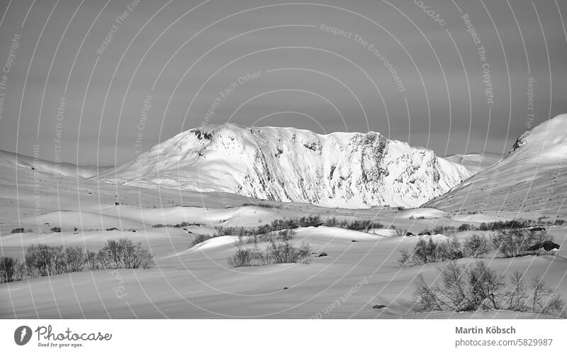 Norwegian high mountains in the snow. Mountains covered with snow. Scandinavia Winter winter landscape ice cold tree frost white magic road light lantern motif