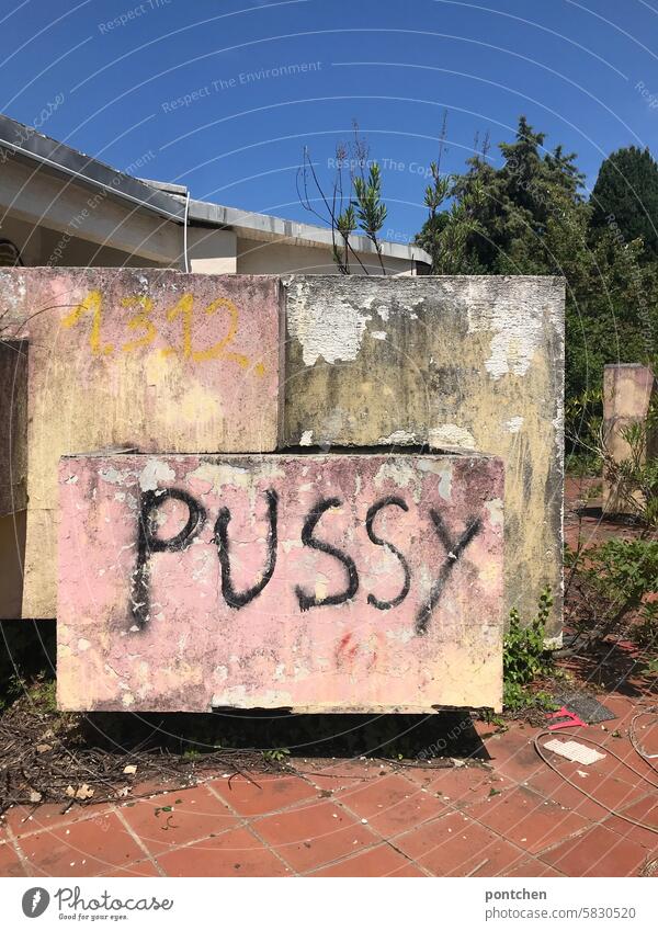 Pussy is standing on part of a derelict building. pussy dirty talk Sexuality vagina Daub Derogative sexually lost place Derelict Dirty figures vulva Past Change