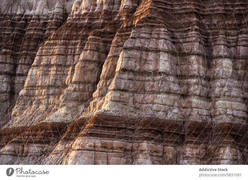 Textured cliffs of Arizona's desert landscape arizona rock formation sedimentary eroded texture geology close-up intricate layers natural outdoor scenic detail