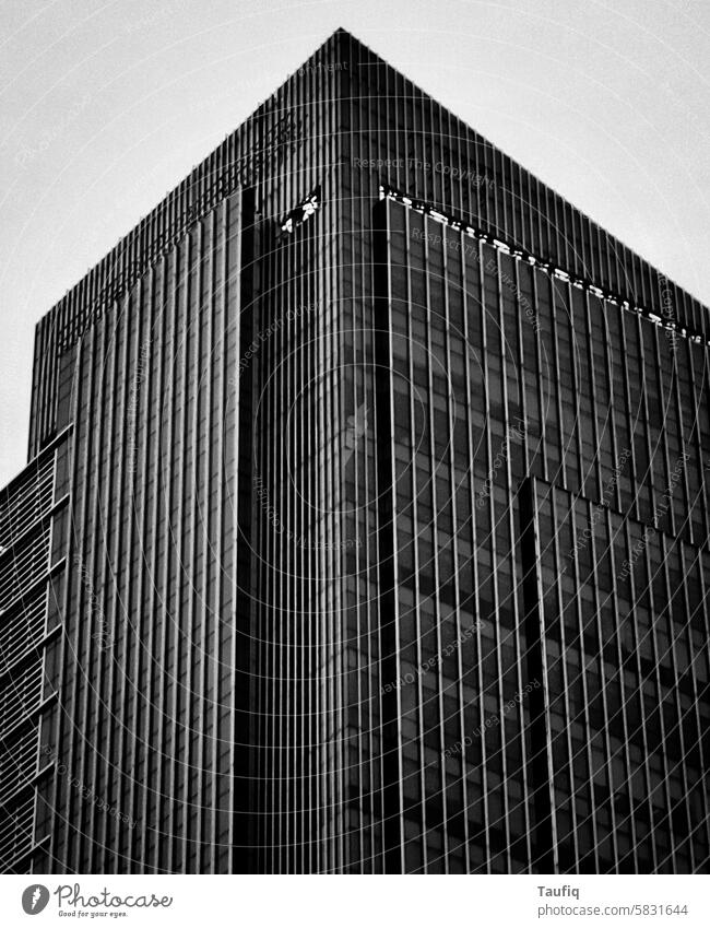 some random building in black and white Landscape Building Black & white photo House (Residential Structure) Wall (building) Architecture Nature Gray