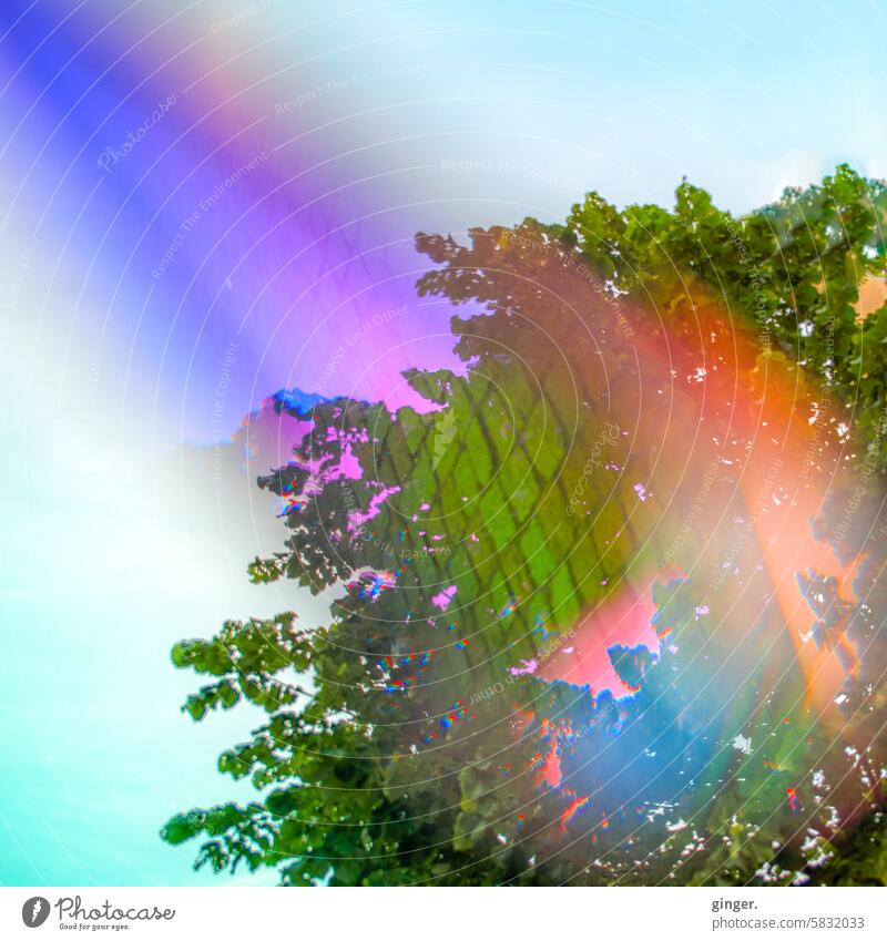 Projection in the treetops - photography with prisms and filters Spectral Prismatic colors Refraction Prismatic colour variegated purple differently alienated