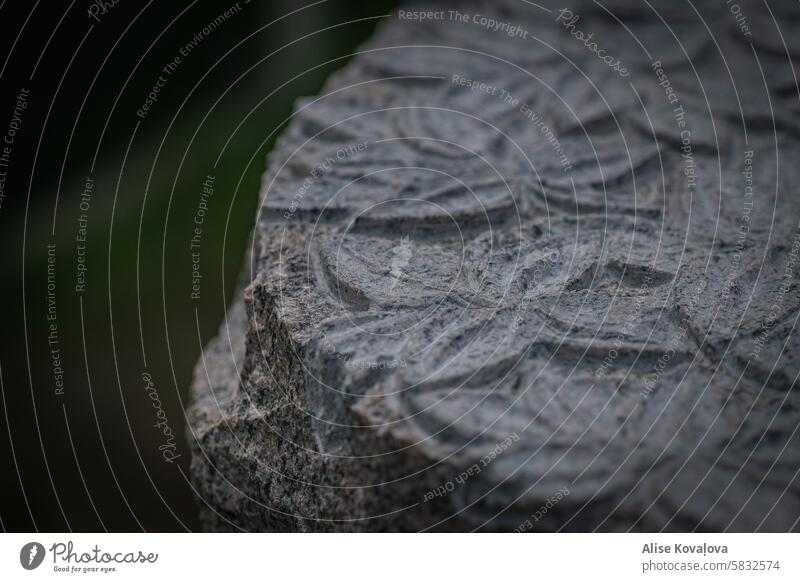 carved leafs in granite stone texture grey rock material rough textured