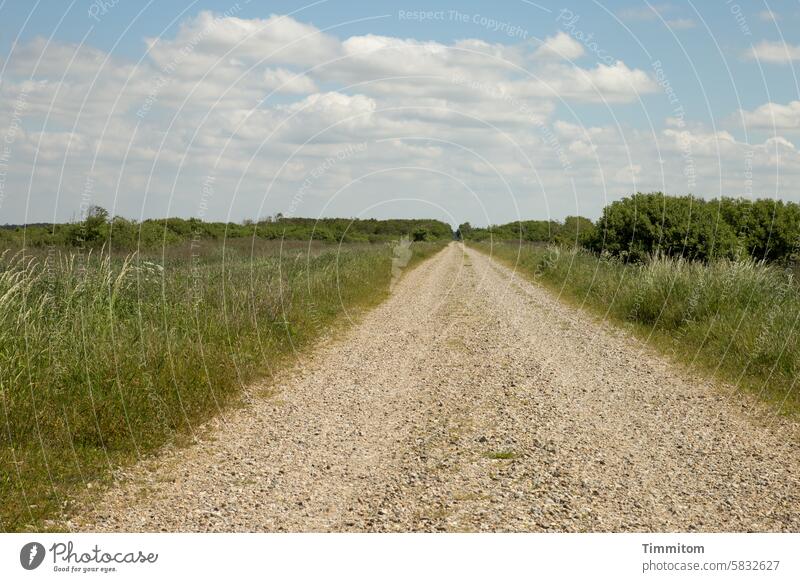 The journey is worth it off Lanes & trails Gravel path Landscape Direct Long just Nature grasses shrubby Green Sky Clouds Beautiful weather Denmark