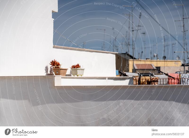 Roofscape with antennas roofs Old town Building Town Downtown Sky Deserted Bari Apulia Facade flower boxes