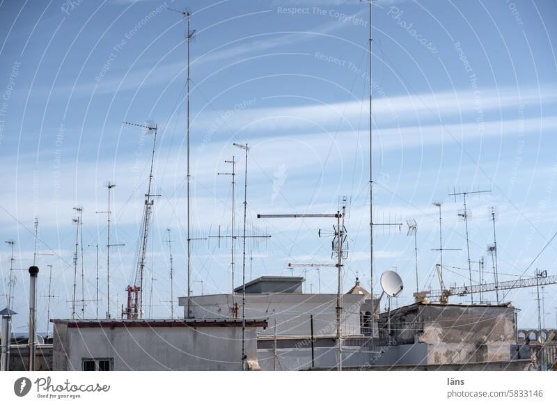 Antennas ready to receive antennas roofs rooftop landscape Bari Building Deserted Sky Town Downtown Ready to receive Exterior shot antenna forest Apulia Italy
