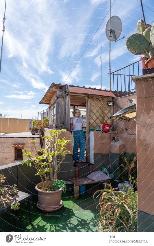 Mediterranean roof terrace Roof terrace Woman Cactus Satellite dish Summer Vacation & Travel Vantage point Tourism Old town Bari Italy Travel photography