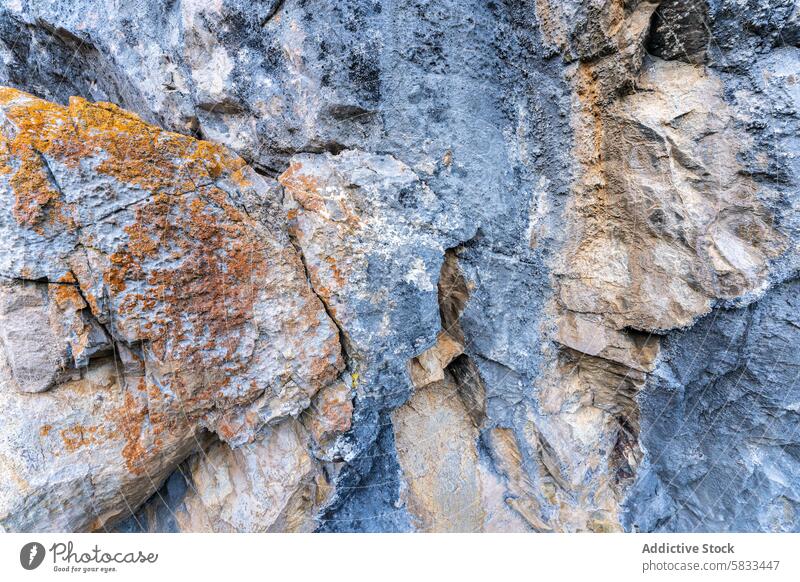 Textured rock surfaces in Valle de Liebana, Cantabria texture multicolored lichen geological diversity close-up valle de liebana cantabria spain nature detail