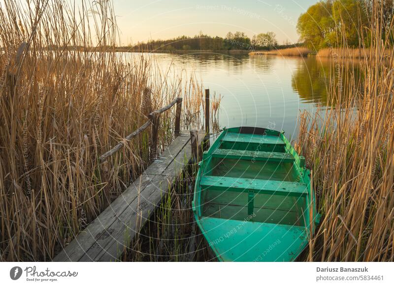 Old fishing boat moored in the reeds of the lake nature water old background green grass travel shore wood landscape river summer sky wooden calm nobody