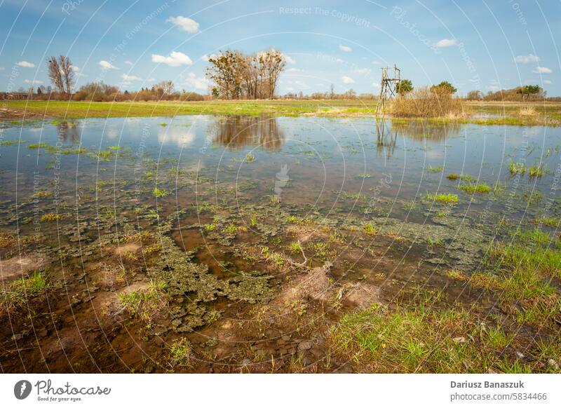 View of a flooded meadow on a clear day, April view climate wetland pasture water natural disaster horizontal photography outdoors nature no people tree sky