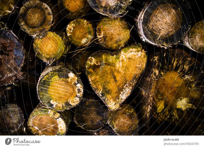 Heart-shaped tree trunk Tree trunk Cross-section Heart (symbol) Symbols and metaphors Wood grain Raw materials and fuels Stack of wood Romance Happy Growth