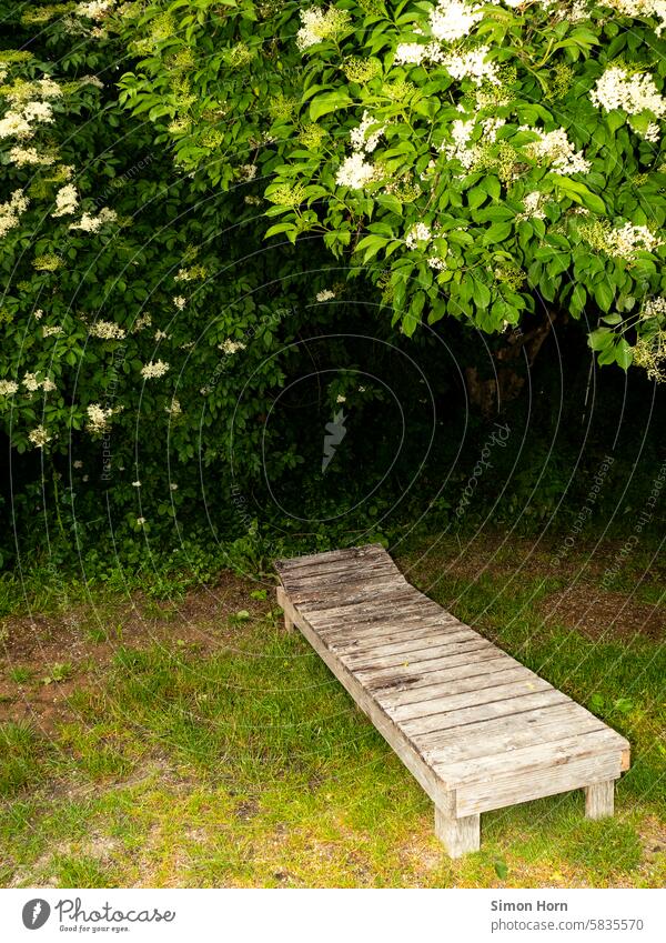 Wooden lounger in a meadow under low-hanging branches with leaves and flowers Couch Shadow Lie shaded place wooden lounger Shade of a tree Tree Cave relax