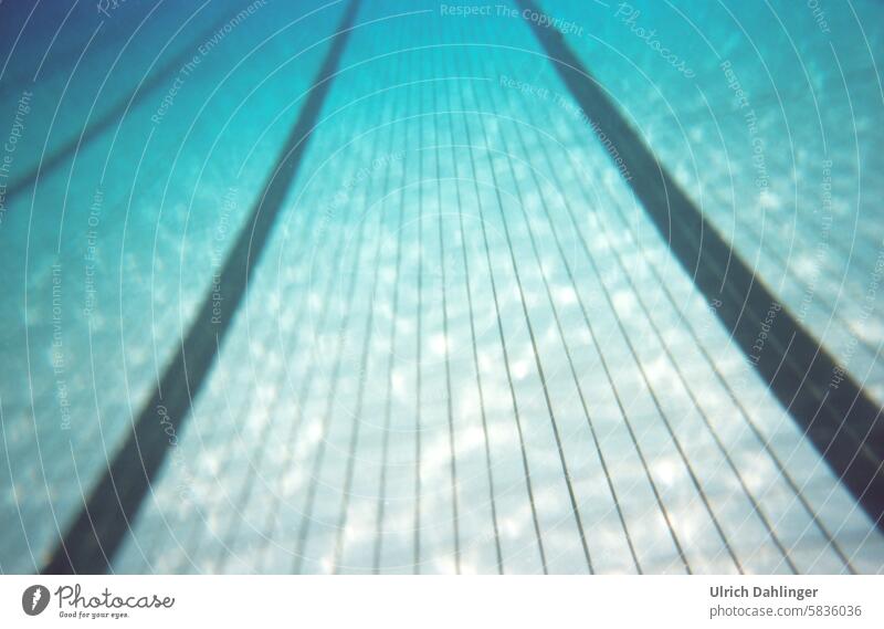 blurred bottom of a swimming pool with lane marking in light blue tone Water Swimming pool Summer Wet swimming and bathing Refreshment Aquatics free time Sports