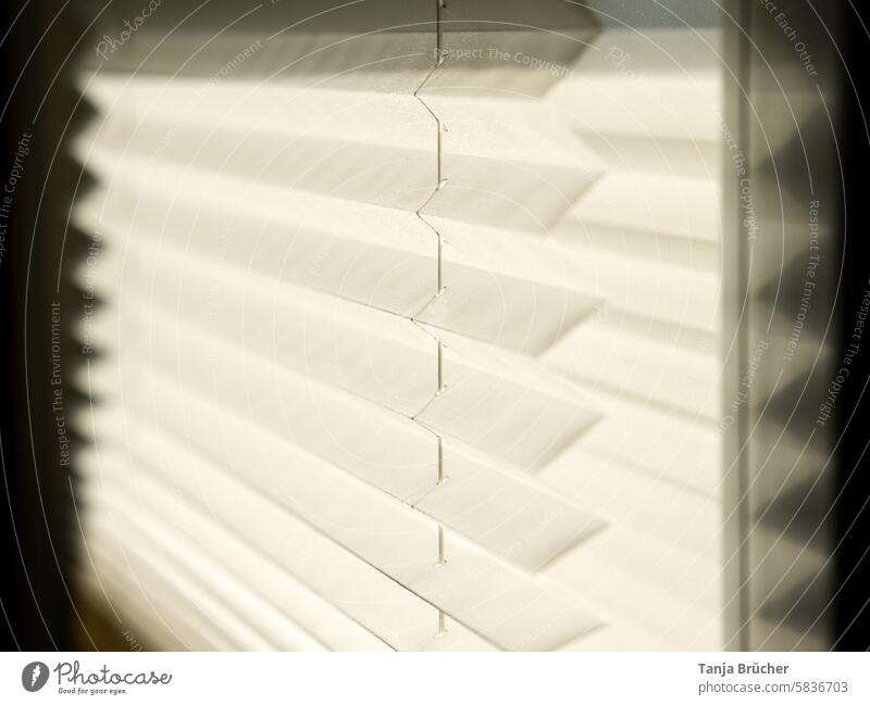 Dimmed light sunshine sun protection show through Screening soft light Stripes and patterns From outside Lines and shapes lines Abstract Natural color