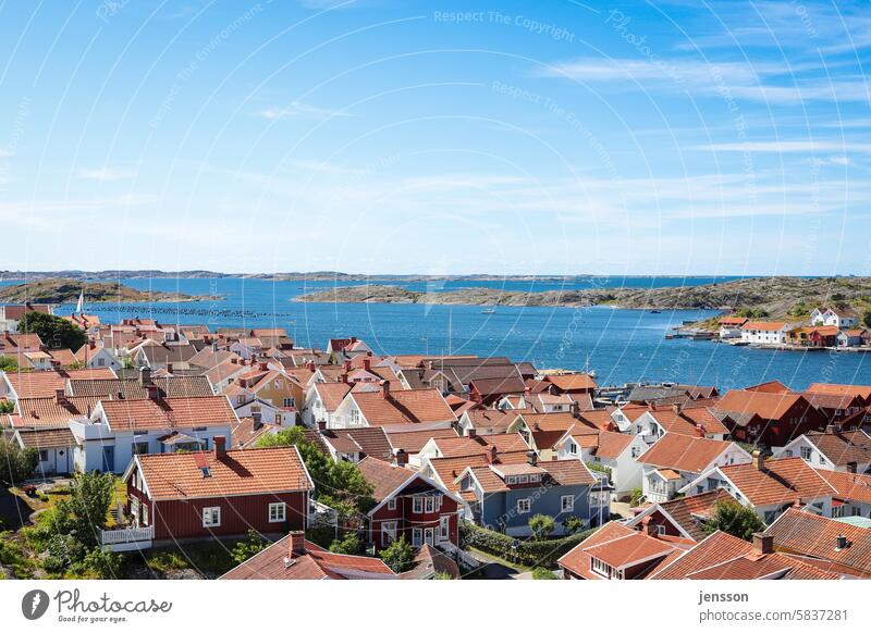 Wooden houses in the Swedish archipelago - Mollösund Summer Summer vacation Summery Swede Swedish house archipelago garden archipelago island Landscape Tourism