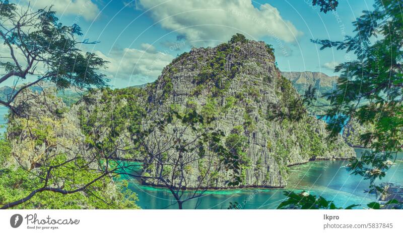 view from a cliff of the beautiful paradise bay coron lake kayangan philippines island palawan lagoon tropical background nature blue landscape summer sky
