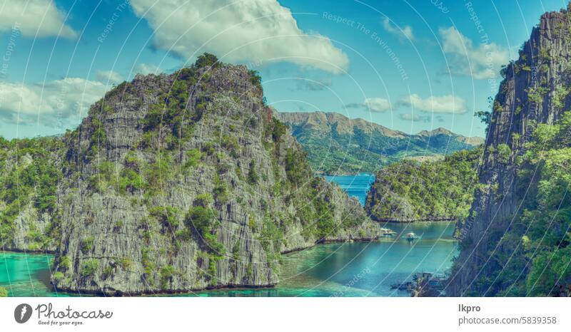 view from a cliff of the beautiful paradise bay coron lake kayangan philippines island palawan lagoon tropical background nature blue landscape summer sky