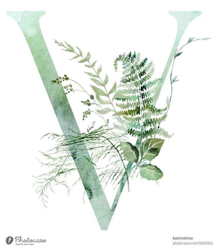 Green letter V with Watercolor whimsical tender leaves isolated illustration, wedding element watercolor fern greeen alphabet summer Isolated woodland spring