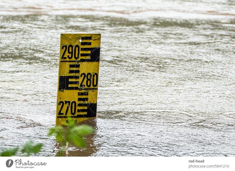 Water level measuring rod protrudes from flowing water during flooding water level Flood inundation River Rain