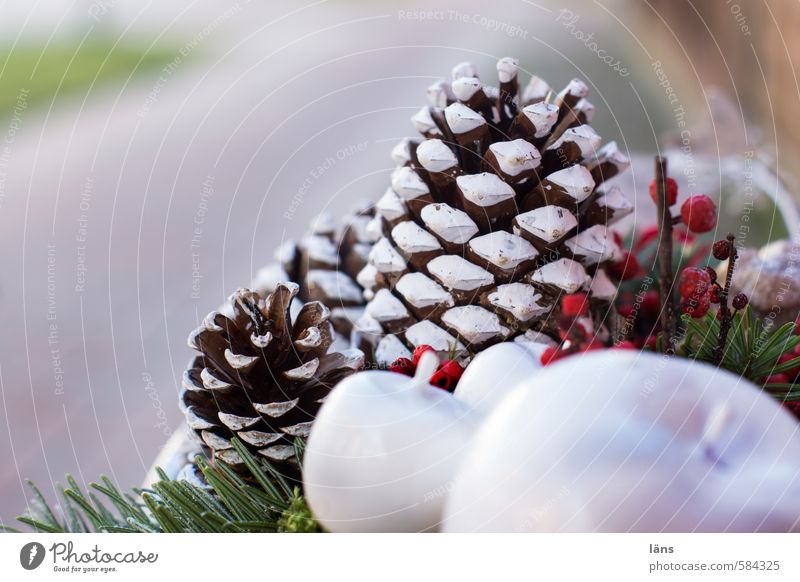 a merry christmas Decoration Uniqueness Thorny Green Red White Esthetic Fir branch Cone Apple Flower arrangement Fir needle Colour photo Exterior shot Deserted