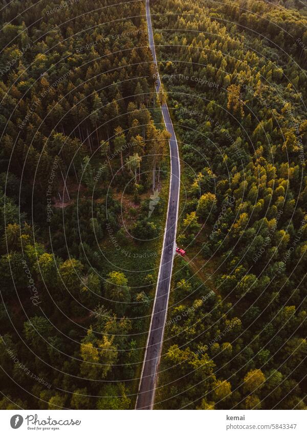 Road through the forest Forest woodland Street off Asphalt road Green Yellow Autumn car Parking Red Curve wide UAV view Bird's-eye view
