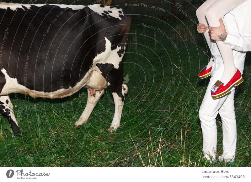 A fashionable couple, dressed in white and wearing avant-garde shoes, is having some fun in the green meadow. With a cow. It's a great outdoor wanderlust at its best. On a wild summer night.