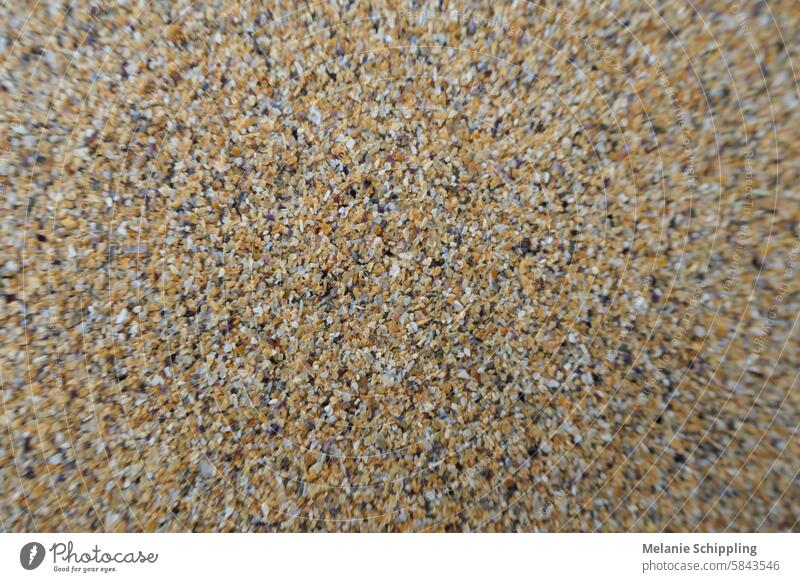 Close-up of grains of sand on the beach Sand Beach Grain of sand Grains of sand Sandy beach coast Beach dune duene sandy Desert background texture Enlarged