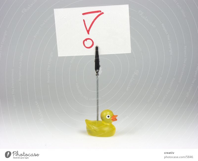 Pochard duck Clamp Protocol Calling card