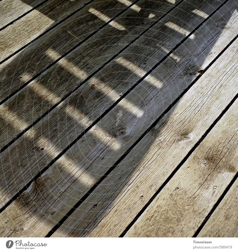 Lying on beds. Vacation & Travel Denmark Vacation home Terrace Wood Esthetic Simple Gray Emotions Joy Calm Relaxation Shadow Wooden floor Wood grain Line