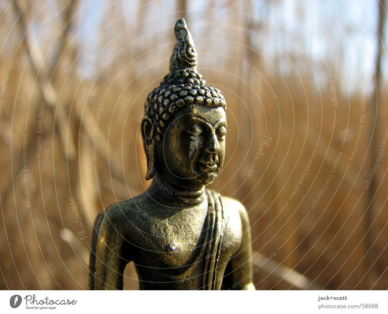 Buddha in reeds Meditation 1 Common Reed Think Force Trust Compassion Peaceful Religion and faith Brass Philosophy India Statue of Buddha Subdued colour Shadow
