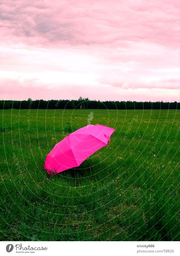 relaxation Clouds Meadow Pink Umbrella Full Sky Dream Bland Relaxation Irony Strange Contrast heaven