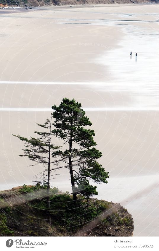 Tiny little people Freedom Beach Human being 2 Sand Water Tree Colour photo Exterior shot Day Bird's-eye view