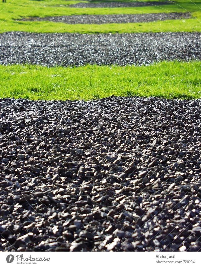 Hmm...? Green Grass Meadow Gray Black Camping site Senheim Spring April 2006 Stripe Stone Lawn Gravel Exterior shot
