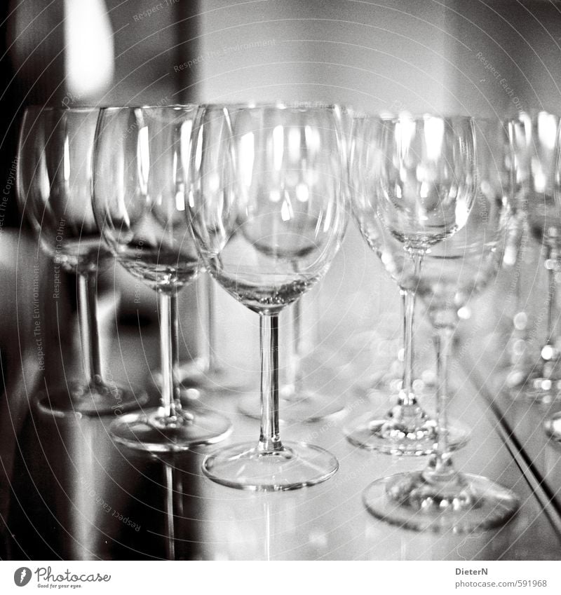 In series Glass Gray Black White Wine glass Reflection Analog Black & white photo Interior shot Copy Space top Artificial light Light Shadow Contrast
