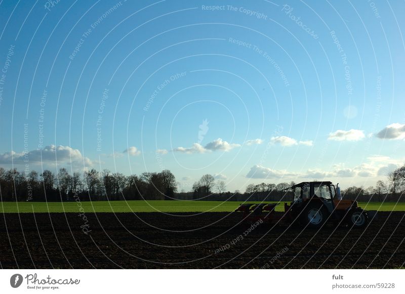 agriculture Agriculture Plow Tractor Field Horizon Tree Clouds Träcker Sky