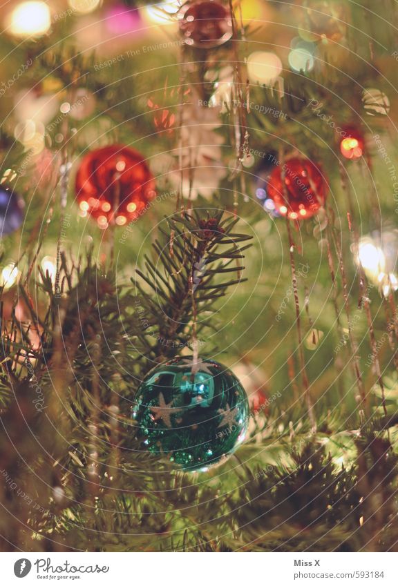 bright Decoration Christmas & Advent Tree Glittering Illuminate Kitsch Multicoloured Christmas tree Christmas tree decorations Glitter Ball Fir branch Tinsel