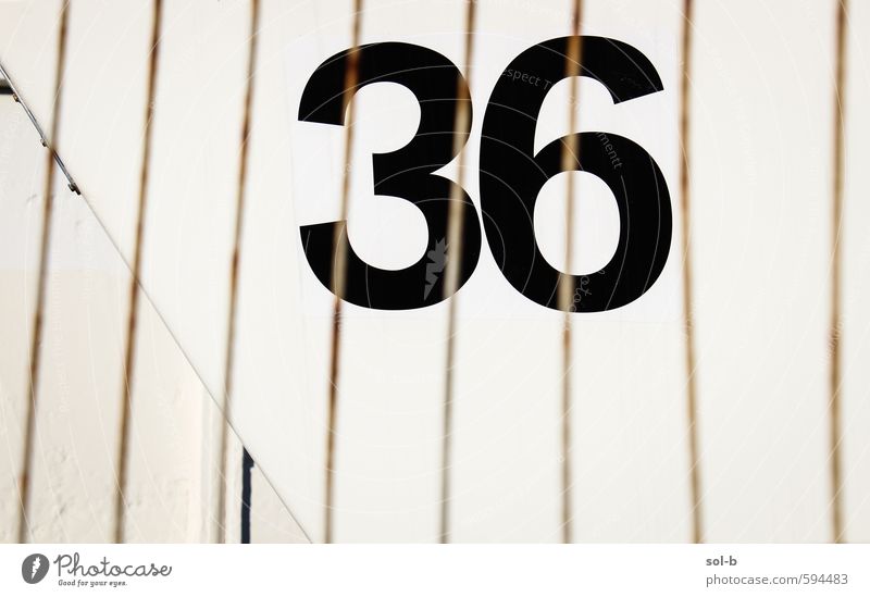 lucky number Style Design Digits and numbers Simple Black Services Fence Gate 36 Line Colour photo Exterior shot Pattern Deserted Copy Space left
