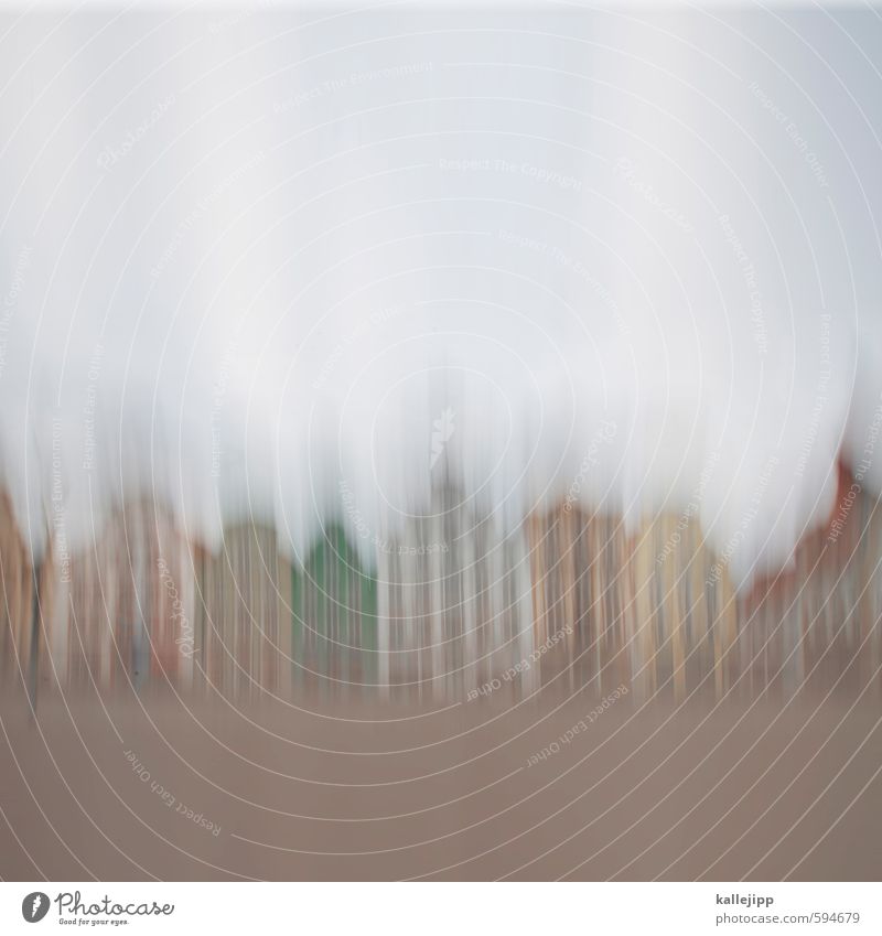 ro-stock Town Capital city Port City Old town House (Residential Structure) Movement Rostock Commune Marketplace Colour photo Day Motion blur