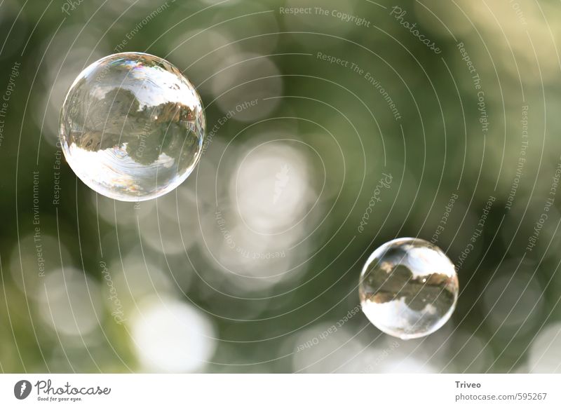 bubble-mirror Elegant Purity Soap bubble Aviation Hover Green Free Reflection Nature Peaceful Bright green Colour photo Experimental Copy Space right Day