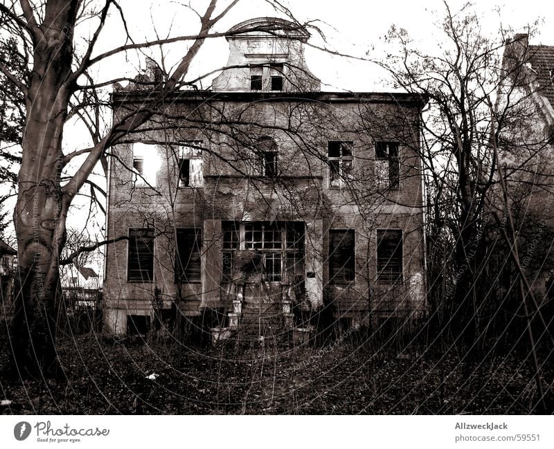 The downfall of the house Usher Villa Derelict Europe Brandenburg Creepy Dark Alarming Grief House (Residential Structure) Ruin Bushes Property Loneliness