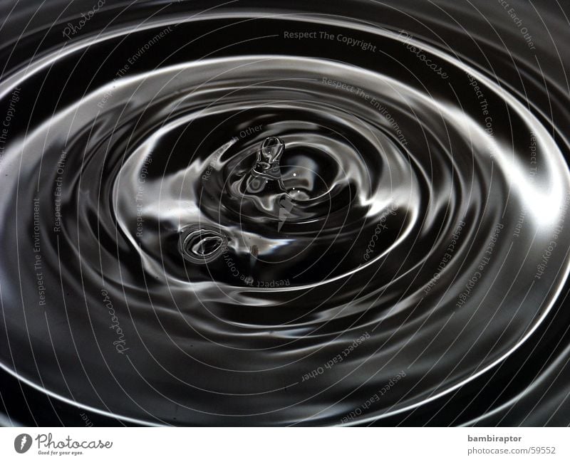 sad waters Drops of water Waves Macro (Extreme close-up) Black White Water Circle concentric circles Reflection drop wave Black & white photo
