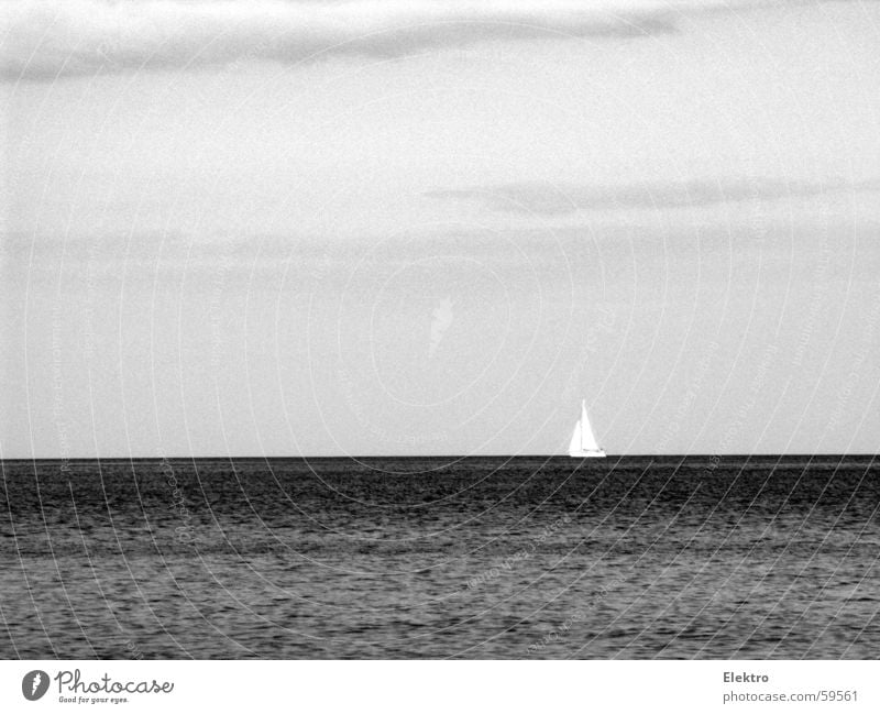 It will grow back like a Starfish! Ocean Lake Watercraft Sail Dinghy Current Gale Wind Horizon Regatta Calm Far-off places Sailboat Empty Fisherman Aquatics