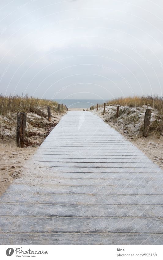 The way to me Environment Nature Landscape Earth Sand Air Water Sky Clouds Winter Ice Frost Grass Coast Beach Baltic Sea Beginning Contentment Loneliness