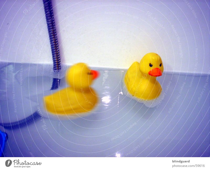 come play Squeak duck Bathtub Yellow Toys Bathroom Playing Duck Swimming & Bathing Blue Water bathing toy rubberduck Float in the water