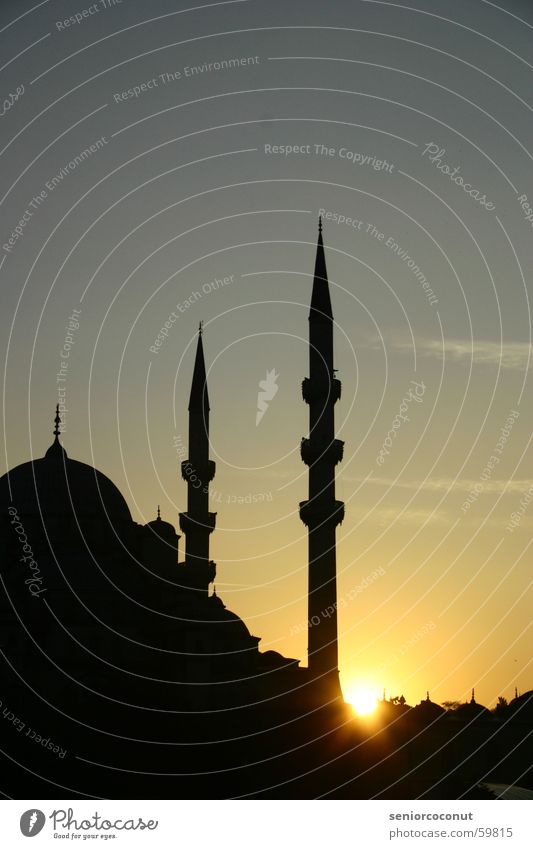shortly before 1001 night Istanbul Mosque Sunset Islam Religion and faith Town Turkey