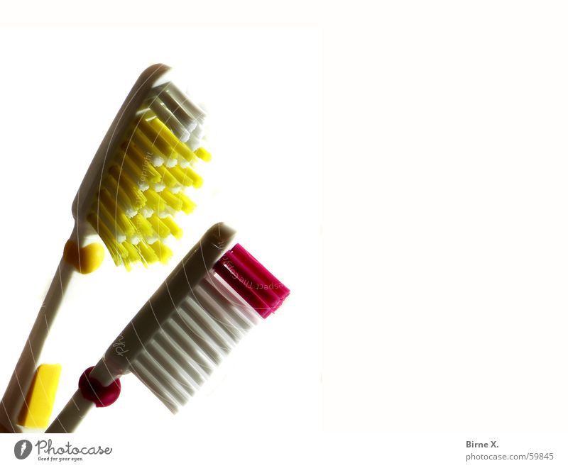 Tender toothbrushes Toothbrush Macro (Extreme close-up) Bristles Light Yellow Red White Bathroom Dental care Near dr. best Close-up couple In pairs
