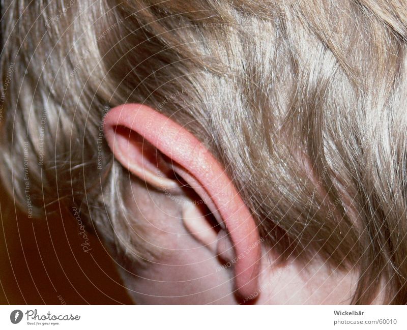 I'm all ears..... Listening Information Blonde Senses Ear Hair and hairstyles Head Novella Interest