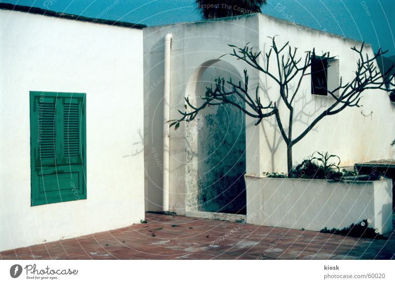 someone at home? House (Residential Structure) Shutter Tree White Wall (barrier) Lanzarote Door