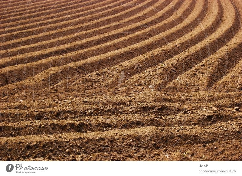 field graphic Field Curved Brown Line Furrow Illustration